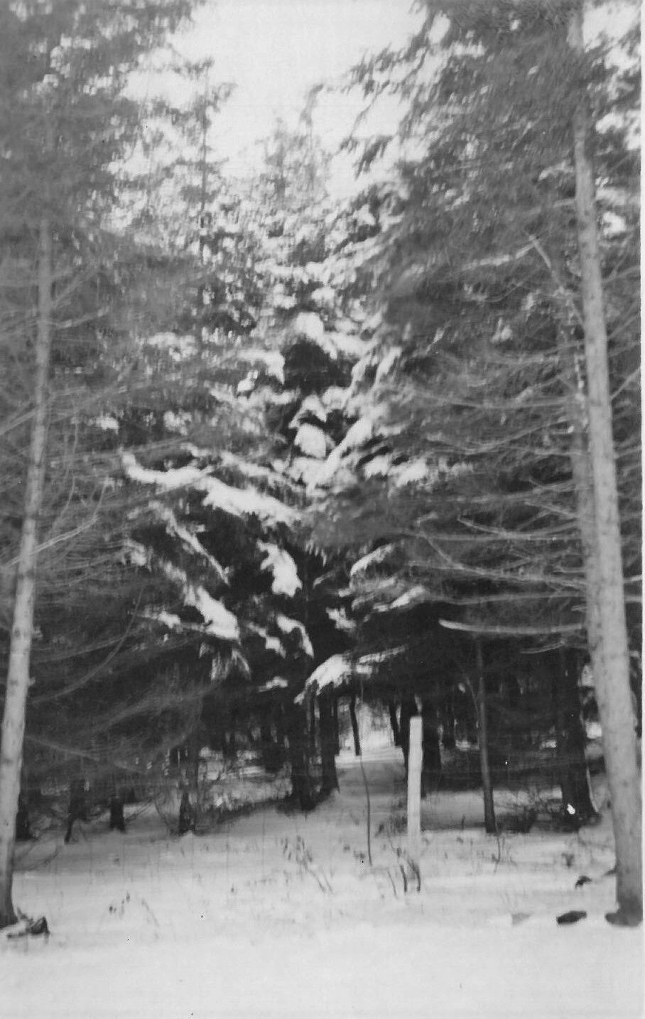 1920 snowstorm